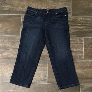 LOFT Blue Ankle Cropped Jeans Classic Design